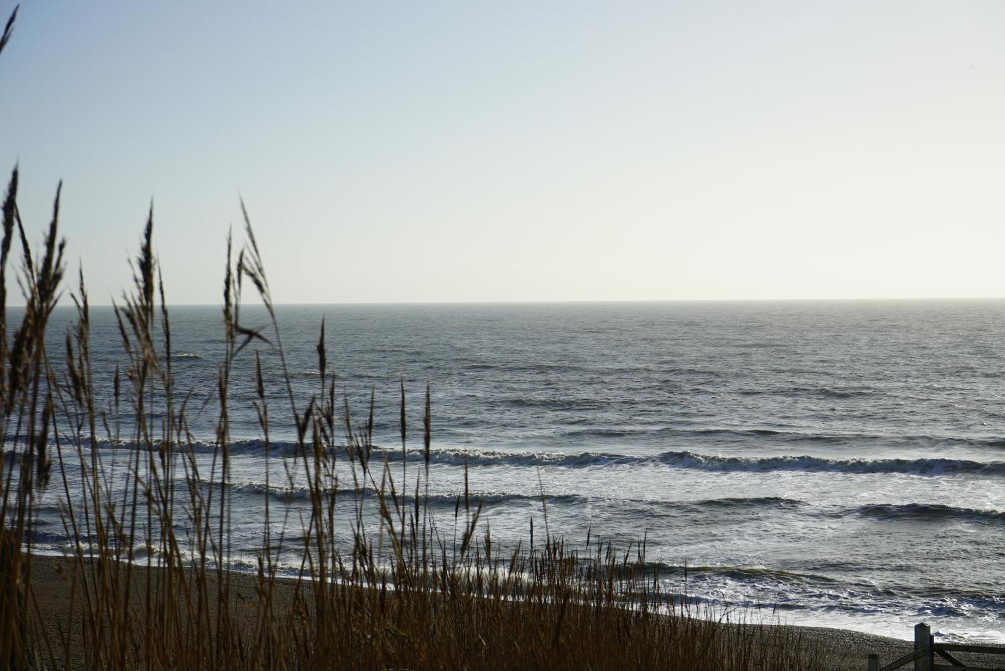 Golden Acre Jurassic Coastal Lodges ,Eype 브리드포트 외부 사진